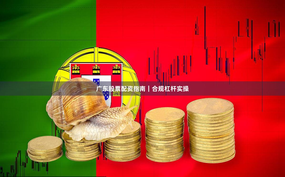 广东股票配资指南｜合规杠杆实操